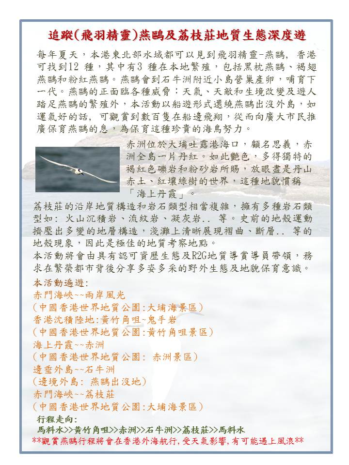 Tern & Hong Kong Geopark Tour